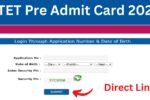 CTET Pre Admit Card 2024 Released